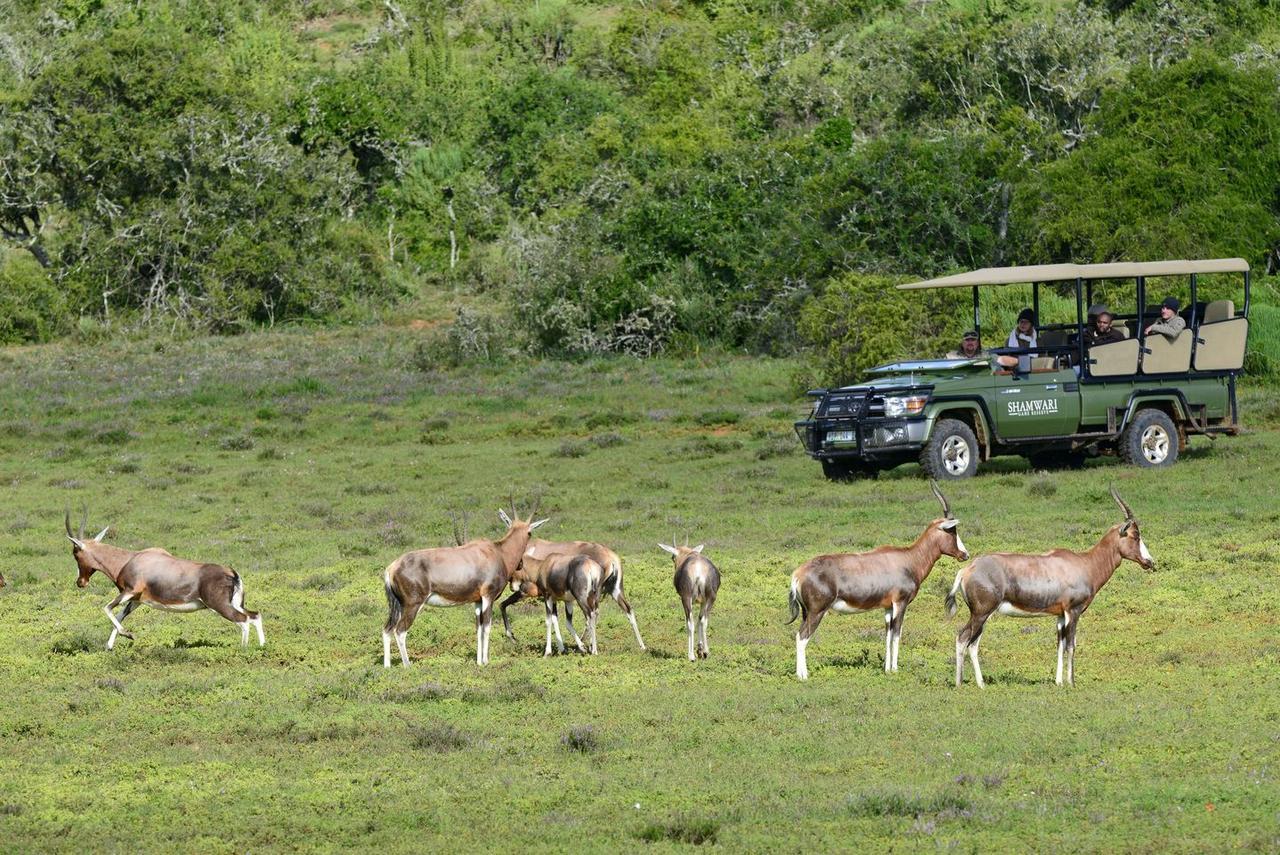Shamwari Eagles Crag Villa Port Elizabeth Exterior foto