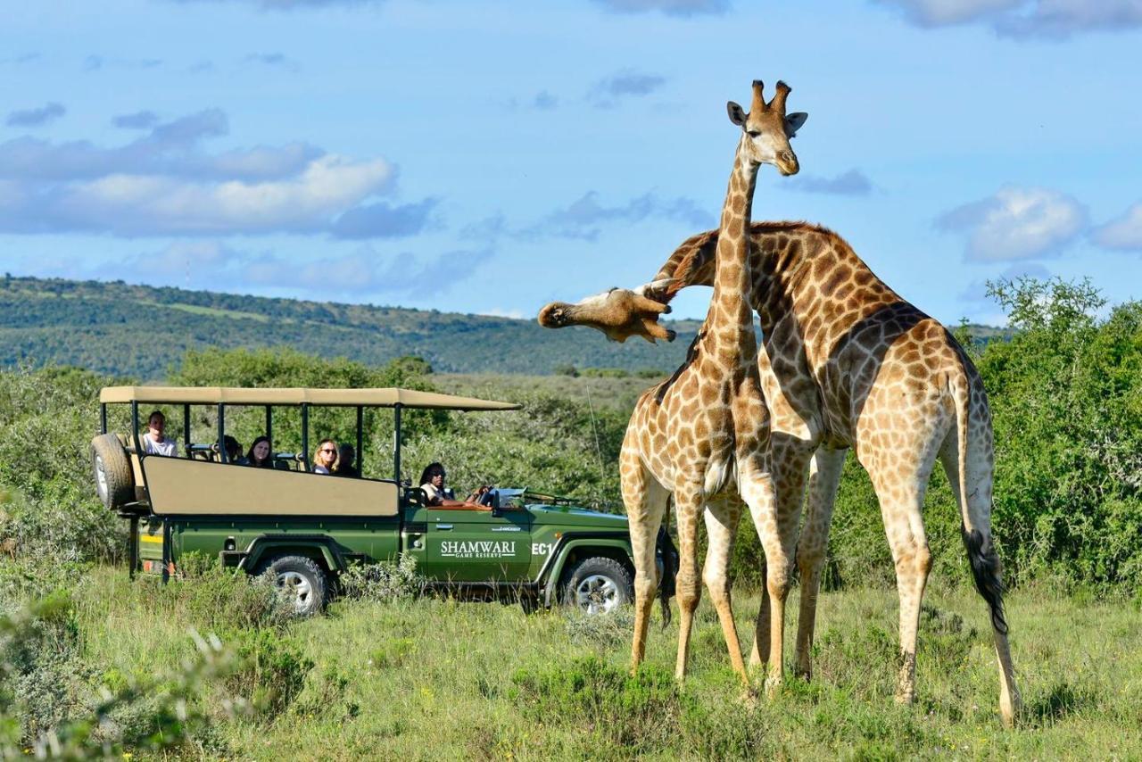 Shamwari Eagles Crag Villa Port Elizabeth Exterior foto
