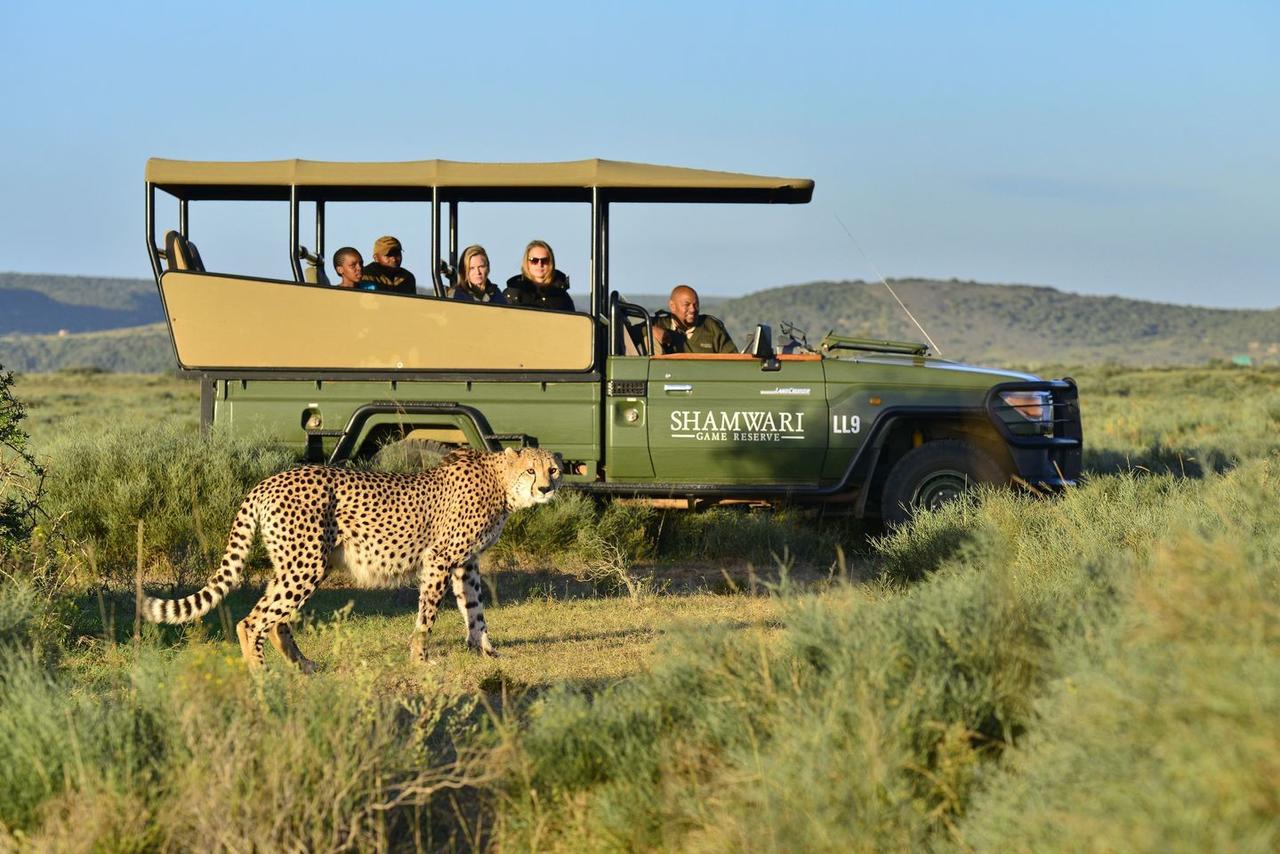 Shamwari Eagles Crag Villa Port Elizabeth Exterior foto