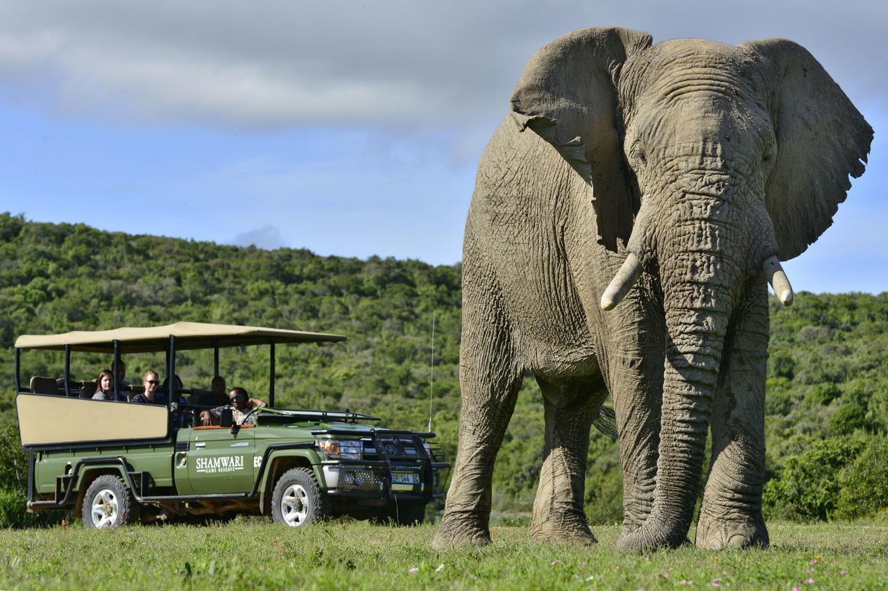 Shamwari Eagles Crag Villa Port Elizabeth Exterior foto